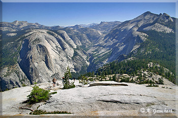 Der Tenaya Canyon