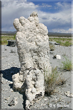 Sand Tufa