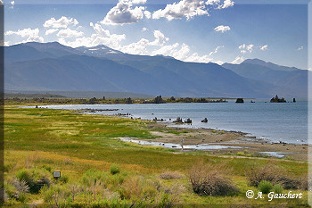 Mono Lake