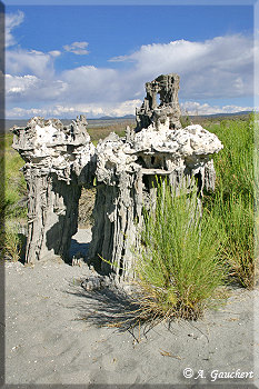 Sand Tufa