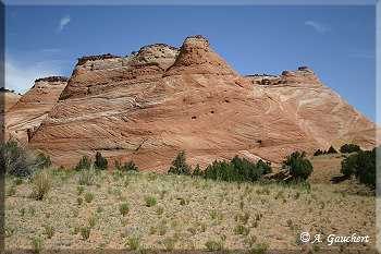 Rote Sandstein Formation