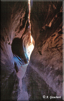 Im Tunnel Slot Canyon