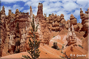 Hoodoos