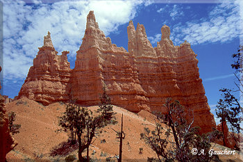 Cathedrale aus Stein