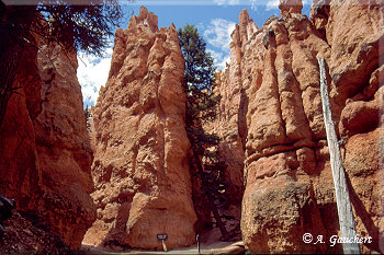 Auf dem Navajo Loop Trail
