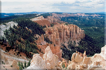 Ponderosa Canyon